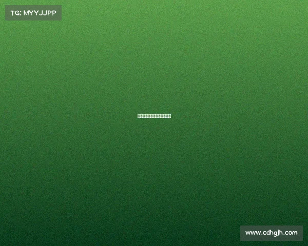 赛事执行号码—赛事查询网站